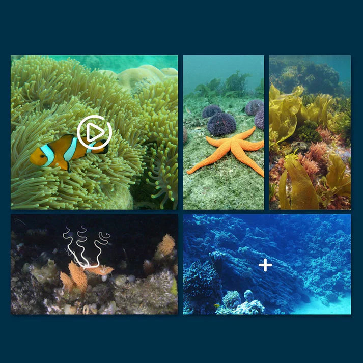 🔥🔥60% off this week! 🎉MantaVision – The app-controlled surface drone for exploring bodies of water