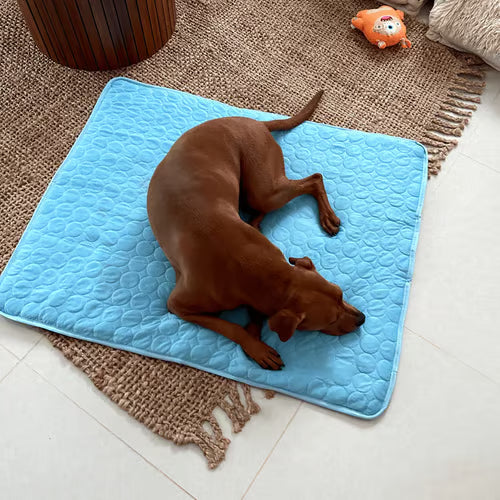 🧊 50% OFF TODAY! 🐶 Dog Cooling Mat (4X Cooling Effect) ✨ Instant Heat Relief & All-Day Summer Comfort for Pets ☀️🐾