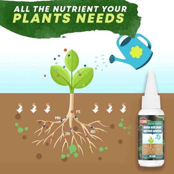 🏆 Last Day Special Price £11.99 ! 🔥🔥Plant Nutrient Solution