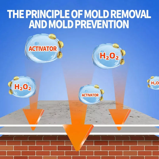 🔥2026 Hot Sale🔥Highly Effective Mould Removal Spray - Prevents Mould Regrowth
