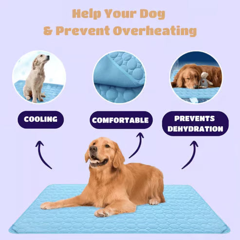 🧊 50% OFF TODAY! 🐶 Dog Cooling Mat (4X Cooling Effect) ✨ Instant Heat Relief & All-Day Summer Comfort for Pets ☀️🐾