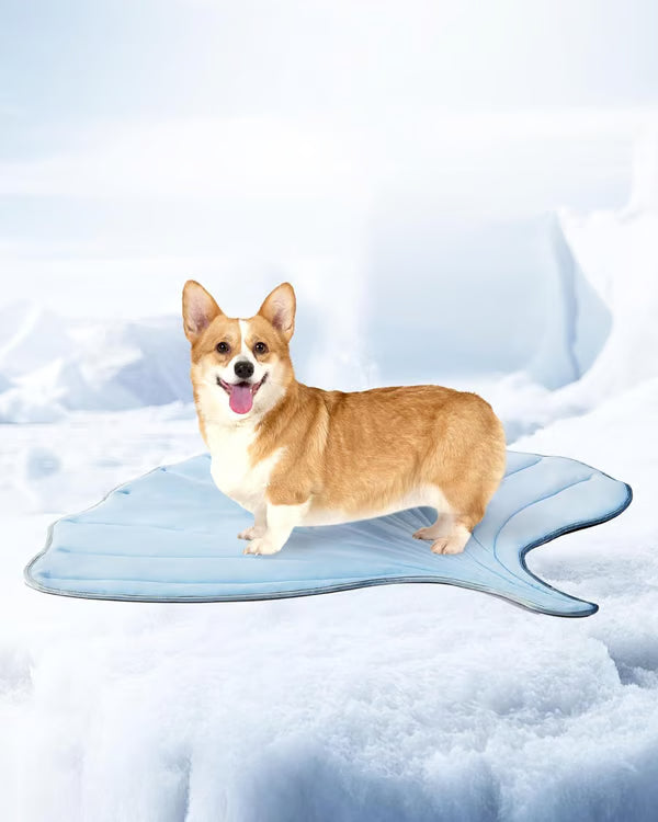 🧊 50% OFF TODAY! 🐶 Dog Cooling Mat (4X Cooling Effect) ✨ Instant Heat Relief & All-Day Summer Comfort for Pets ☀️🐾