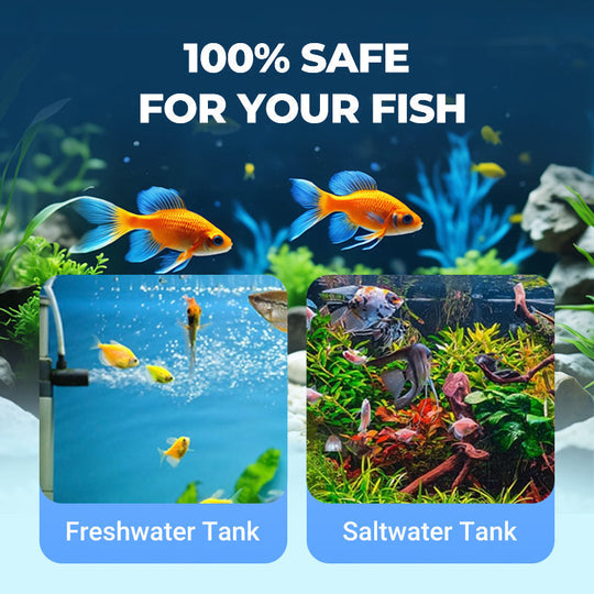 💥COMPRA 2 Y LLÉVATE 1 GRATIS💥Limpiador potente de agua para peceras