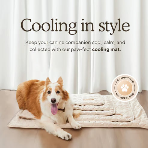 🧊 50% OFF TODAY! 🐶 Dog Cooling Mat (4X Cooling Effect) ✨ Instant Heat Relief & All-Day Summer Comfort for Pets ☀️🐾