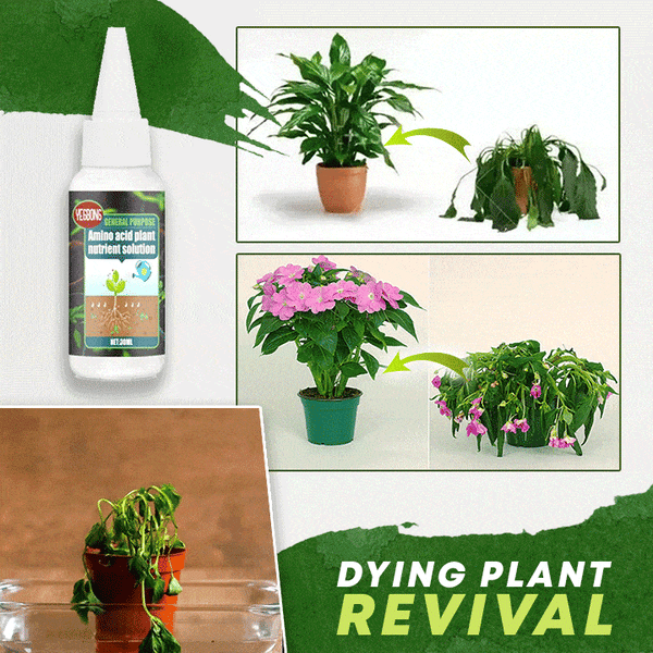 🏆 Last Day Special Price £11.99 ! 🔥🔥Plant Nutrient Solution