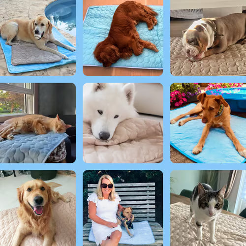 🧊 50% OFF TODAY! 🐶 Dog Cooling Mat (4X Cooling Effect) ✨ Instant Heat Relief & All-Day Summer Comfort for Pets ☀️🐾