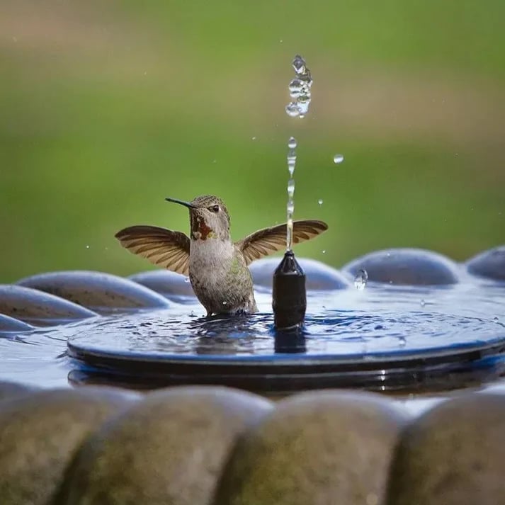 🎁Fontaine solaire, pompe à eau submersible pour bain d'oiseaux avec 4 buses et panneau solaire 1,4 W, idéale pour l'arrosage extérieur de bassins, piscines, jardins et aquariums.