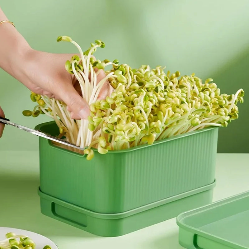📢📢Buy 2 Get 1 Free !! ⏰Stackable Bean Sprout Growing Box - Multi-layer Design, Perfect for Home Cultivation, Healthy Green Living!