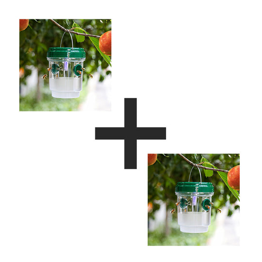 Solar Powered Hanging Wasp Trap