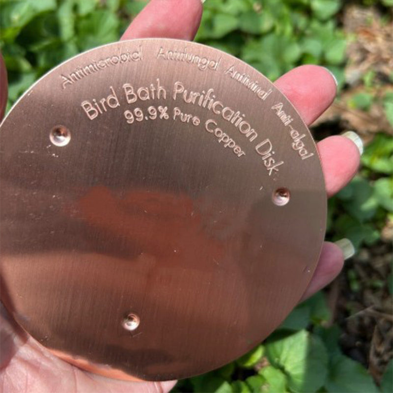📢📢30% OFF !! ⏰Natural Algae Inhibitor for Bird Baths & Fountains
