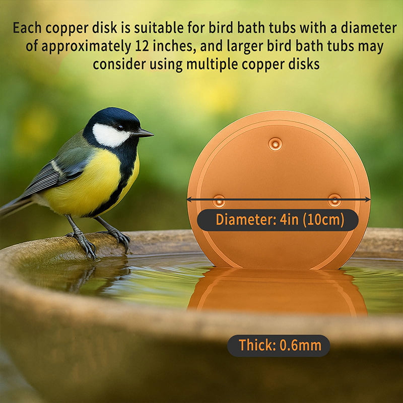 📢📢30% OFF !! ⏰Natural Algae Inhibitor for Bird Baths & Fountains