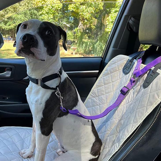 🏆 Last Day Special Price £9.99 ! 🔥Buy more save more🎁2-in-1 Dog Car Seat Belt & Walking Leash