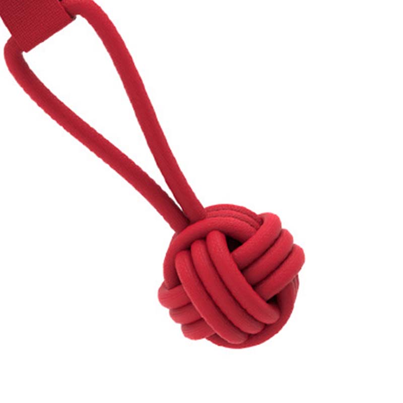 🐾Interactive Shark Dog Tug Toy with Squeaker & Rope Knot