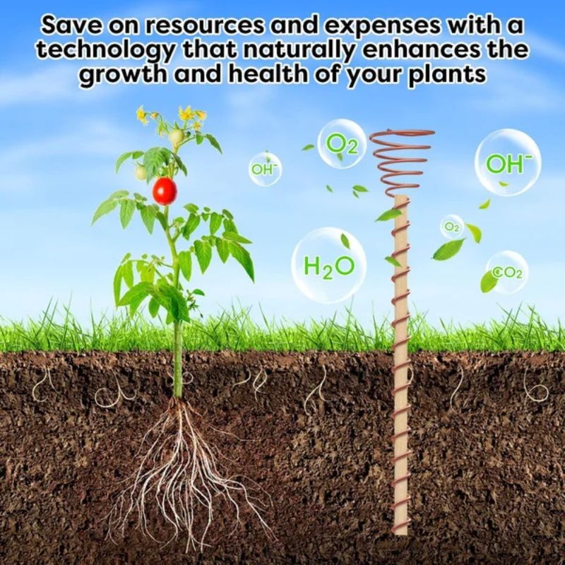 🌿 Electroculture antenna – increase yields by 70%, reduce pesticides, no fertilizer needed! ⚡🍀