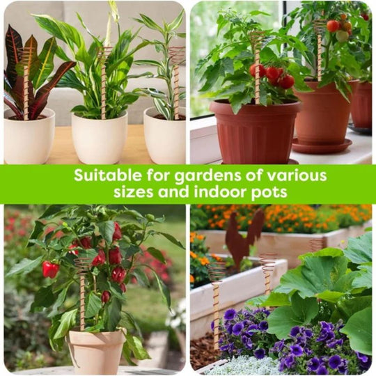 🌿 Electroculture antenna – increase yields by 70%, reduce pesticides, no fertilizer needed! ⚡🍀