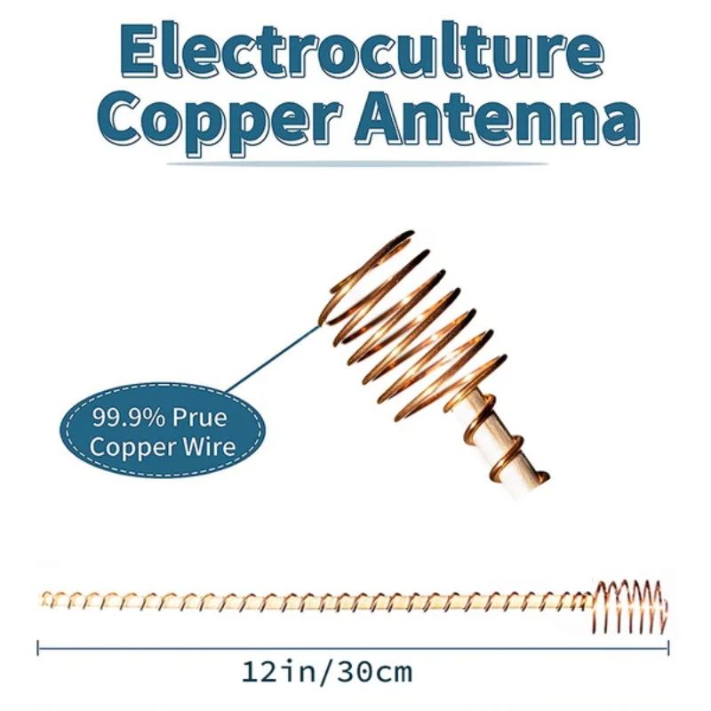 🌿 Electroculture antenna – increase yields by 70%, reduce pesticides, no fertilizer needed! ⚡🍀