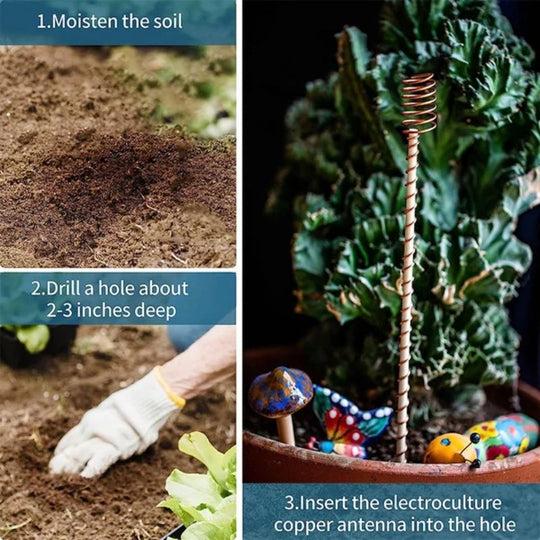 🌿 Electroculture antenna – increase yields by 70%, reduce pesticides, no fertilizer needed! ⚡🍀