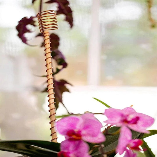 🌿 Electroculture antenna – increase yields by 70%, reduce pesticides, no fertilizer needed! ⚡🍀