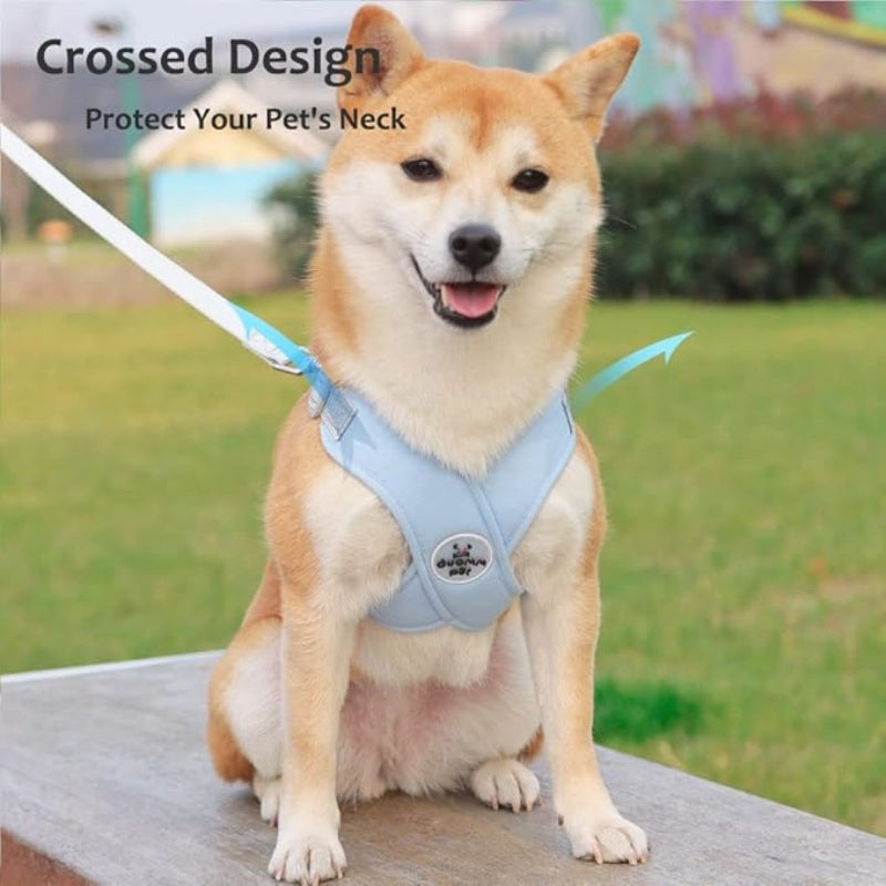 🥳2026 HOT SALE🥳 30% OFF💞X-frame No-Pull Dog Harness Set with Leash