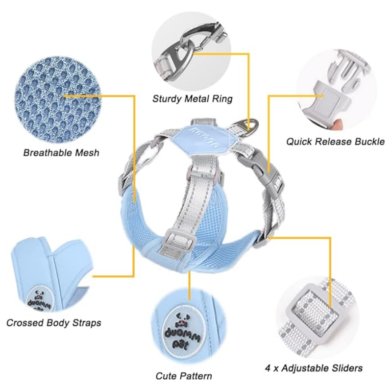 🥳2026 HOT SALE🥳 30% OFF💞X-frame No-Pull Dog Harness Set with Leash