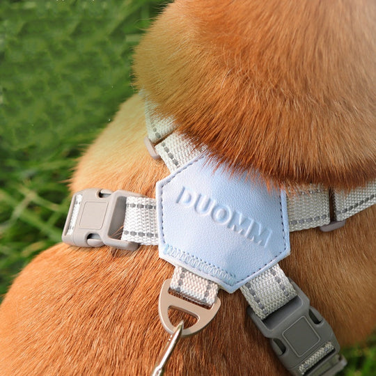 🥳2026 HOT SALE🥳 30% OFF💞X-frame No-Pull Dog Harness Set with Leash