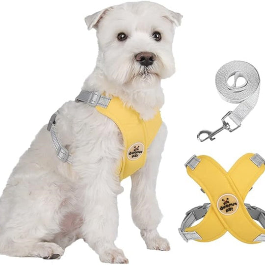 🥳2026 HOT SALE🥳 30% OFF💞X-frame No-Pull Dog Harness Set with Leash