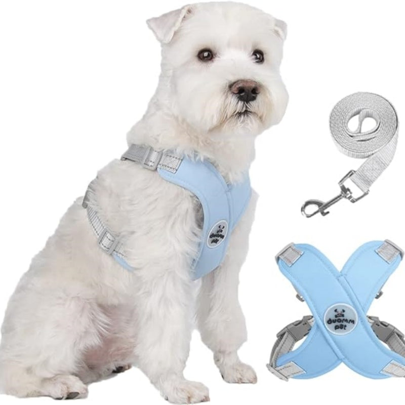 🥳2026 HOT SALE🥳 30% OFF💞X-frame No-Pull Dog Harness Set with Leash