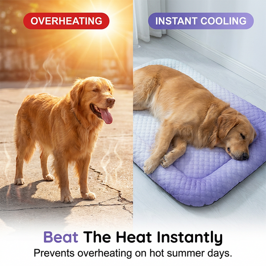 🎁Time-Sensitive Exclusive Deal!❄️Cooling Gel Mat for Pets – No refrigeration needed, instant heat relief. Breathable, non‑toxic. Helps pets sleep cool all summer!