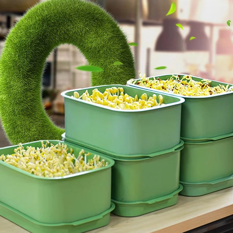 🌱 Stackable Bean Sprout Grower Box with Lid — Soilless Seed Sprouter Tray for Healthy Homegrown Sprouts