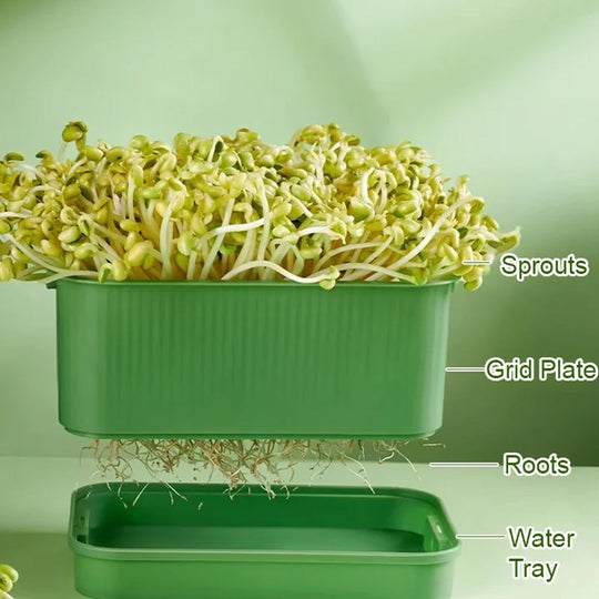 🌱 Stackable Bean Sprout Grower Box with Lid — Soilless Seed Sprouter Tray for Healthy Homegrown Sprouts