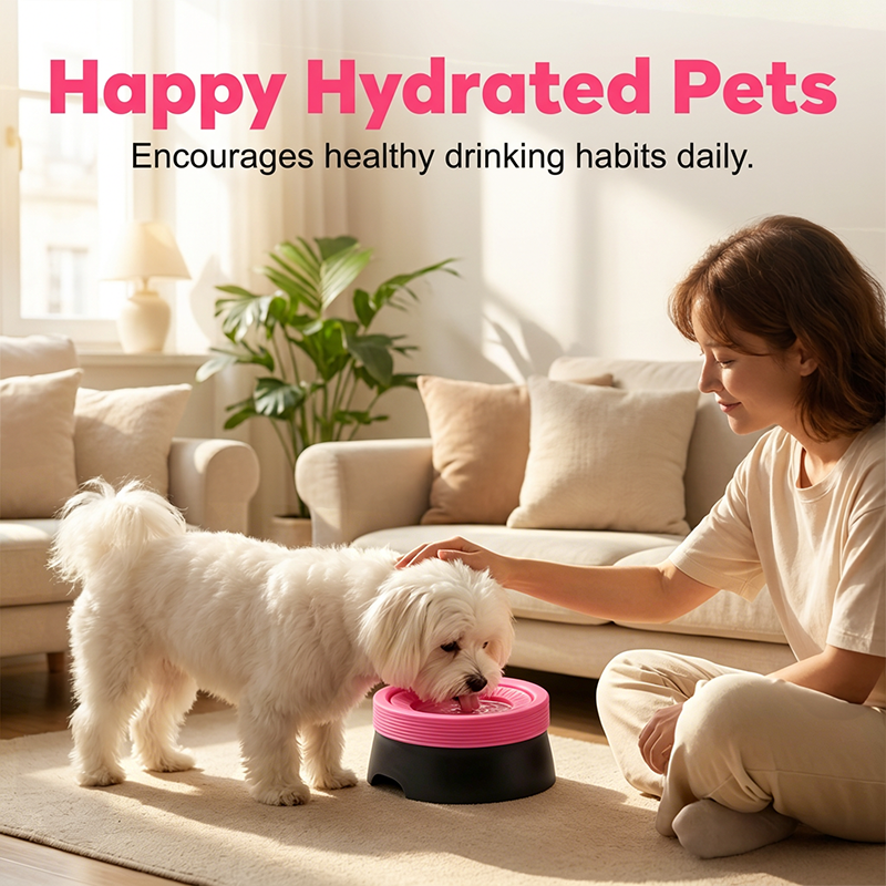 🔥Limited Time Extra Discounts+50%OFF!🔥No-Spill Floating Pet Water Bowl🔥2026 HOT SOLD! & 5,000+ sold！