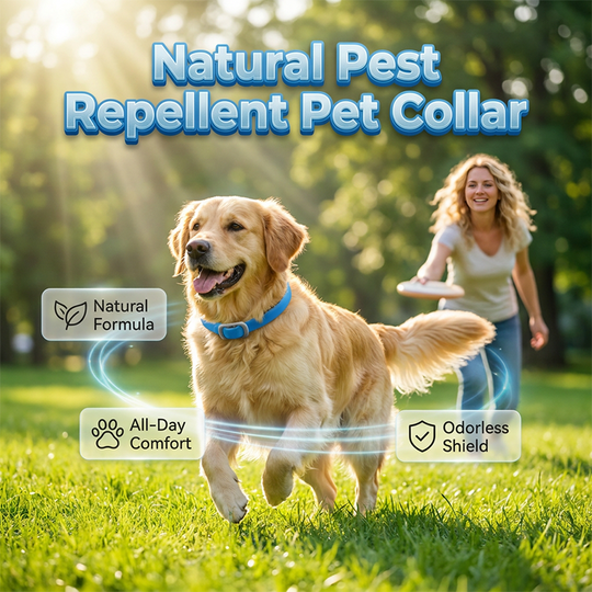 🎉 FLASH DEAL 30% OFF🐶🐱 – Plant-Based Flea & Tick Collar 🌿 Up to 8 Months Protection, Slow-Release Oils, Water-Resistant 💦 Repels Mosquitoes & Larvae, Comfortable & Safe for Daily Wear 🐕