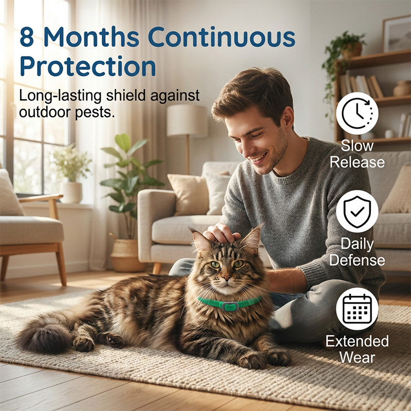 🎉 FLASH DEAL 30% OFF🐶🐱 – Plant-Based Flea & Tick Collar 🌿 Up to 8 Months Protection, Slow-Release Oils, Water-Resistant 💦 Repels Mosquitoes & Larvae, Comfortable & Safe for Daily Wear 🐕