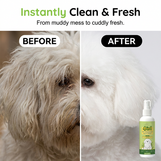 Gentle 4-in-1 Pet Spray
