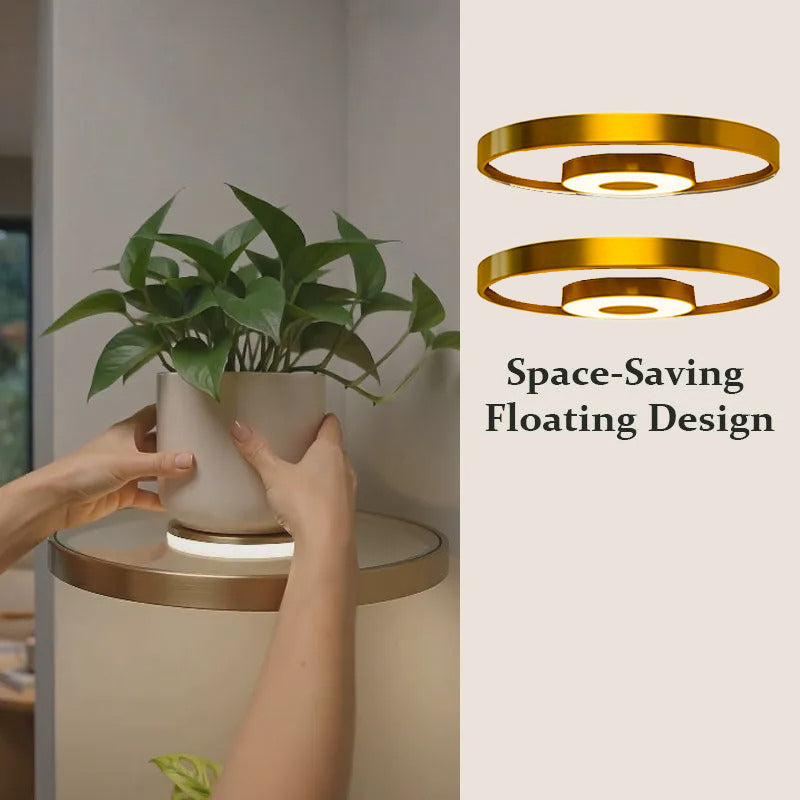🎉 2026 Sale — Over 27,000 Sold!  Floating Wall Shelf with Built-in Ambient LED Light – Modern Plant Display 💛